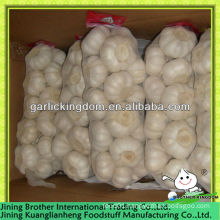 pure white garlic 1000g mesh bag